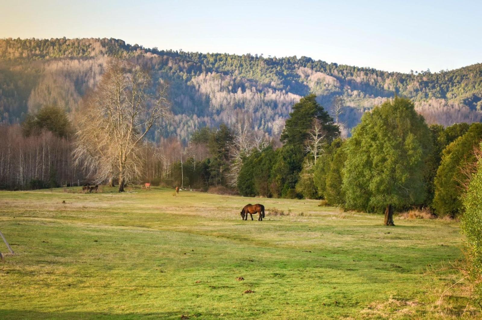 Vila Parques De Afunalhue Licanray Exteriér fotografie