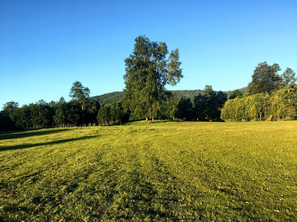 Vila Parques De Afunalhue Licanray Exteriér fotografie